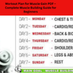 Workout Plan for Muscle Gain PDF – Complete Muscle Building Guide for Beginners ﻿