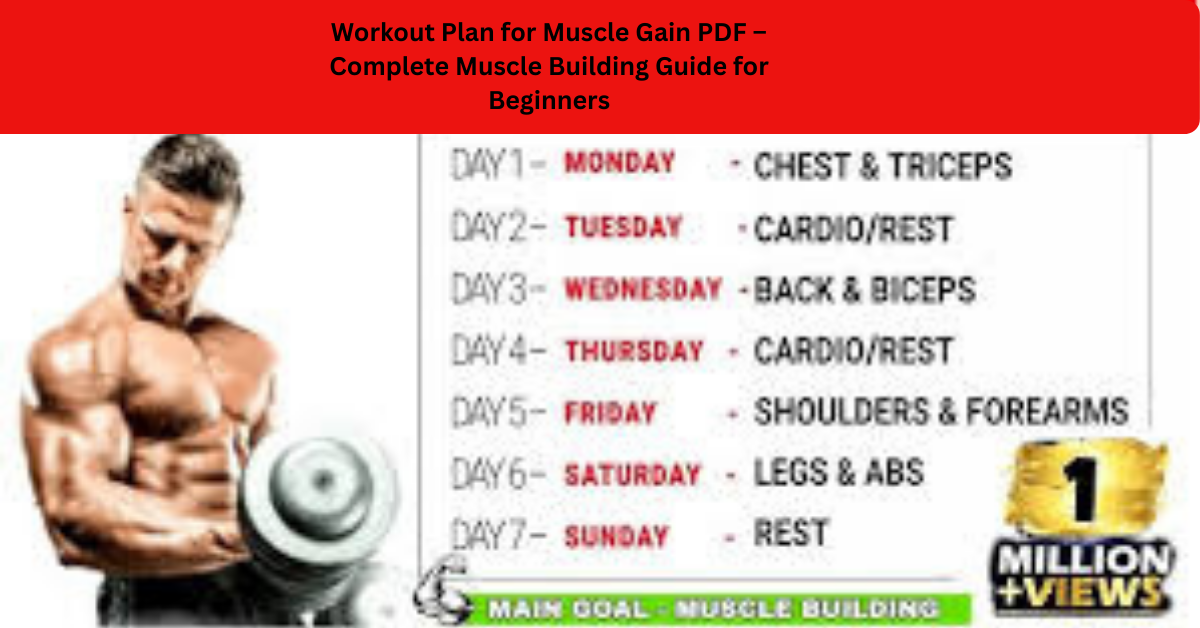 Workout Plan for Muscle Gain PDF – Complete Muscle Building Guide for Beginners ﻿